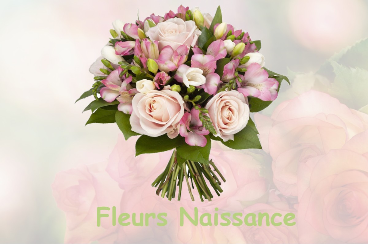 fleurs naissance THESY