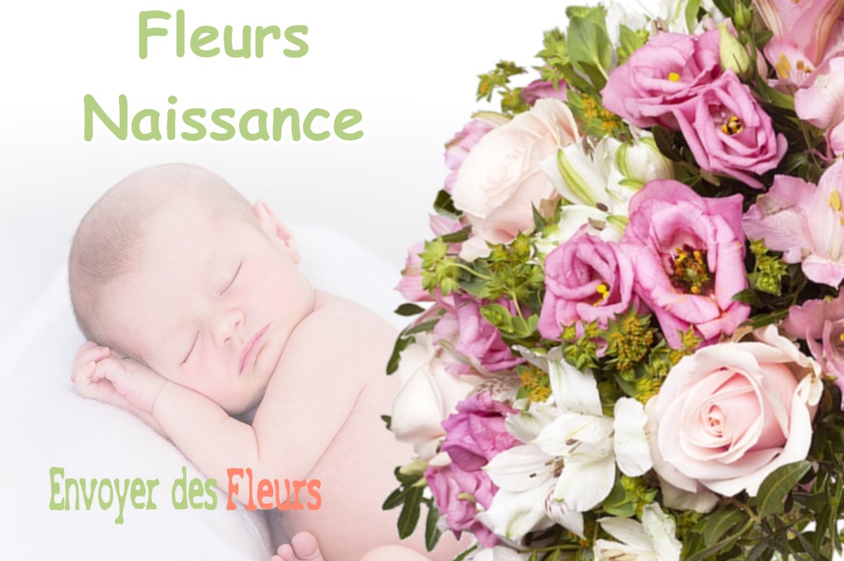 lIVRAISON FLEURS NAISSANCE à THESY