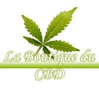 LA BOUTIQUE DU CBD THESY 